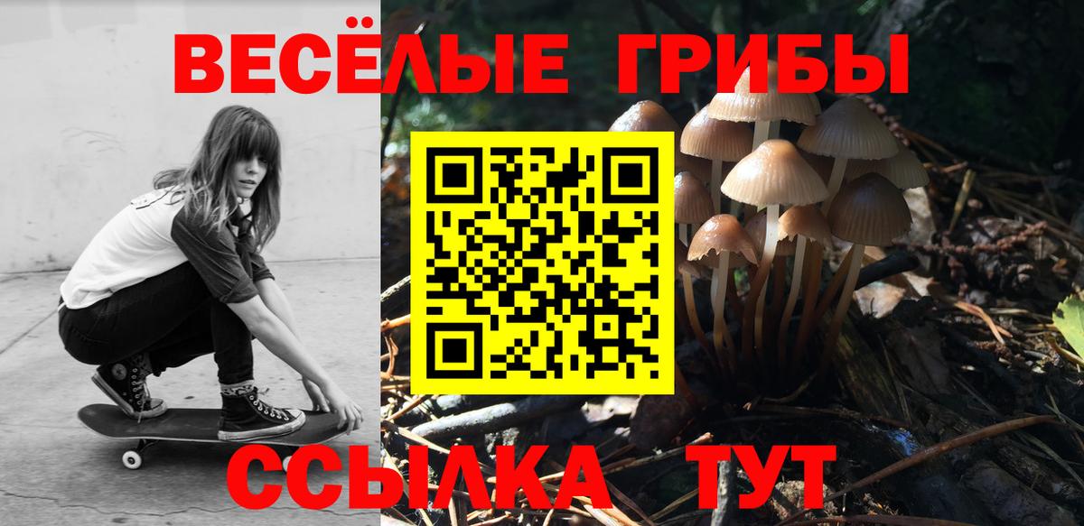 Псилоцибиновые грибы Psilocybe Первоуральск